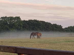 The Paddocks - Spacious annexe with rural outlook.